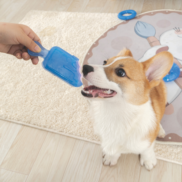 M-PETS Cooling Frisko the Popsicle Dog Chew Toy - Product Image 3