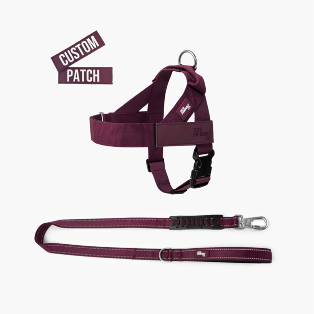 Dog Friendly Co. Premium Dog Signature Kit - Product Image 2