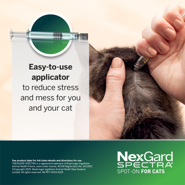 NexGard Spectra Cat Spot-On Flea Tick & Worm Treatment - Product Image 4