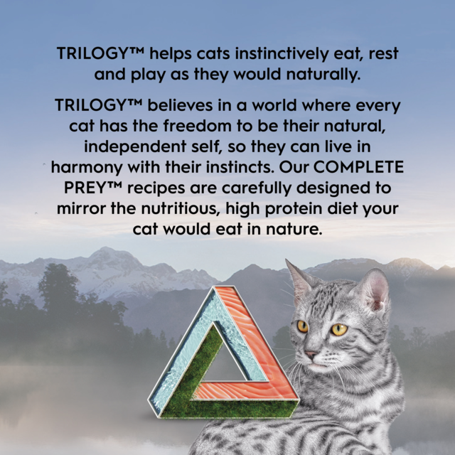 Trilogy Complete Prey Pate Salmon Wet Cat Food - Product Image 8
