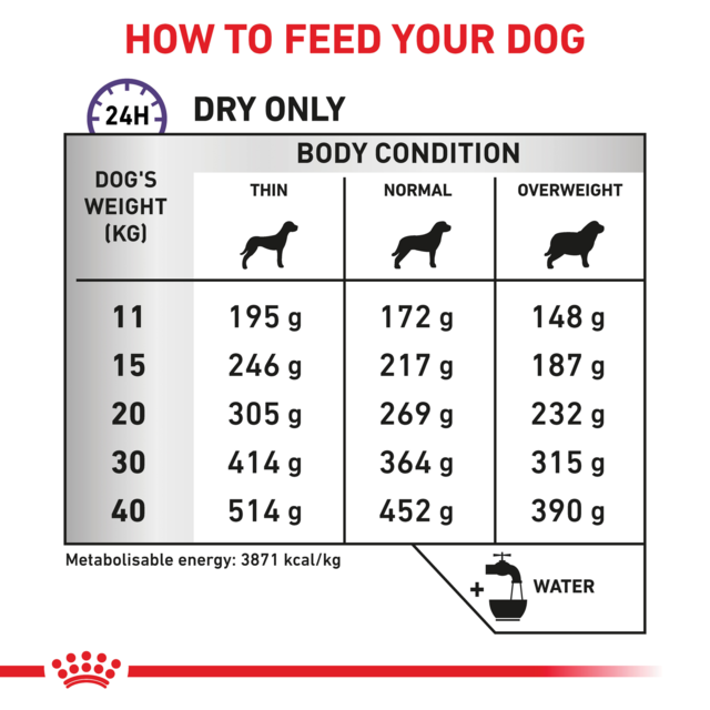 Royal Canin Vet Dental Dry Dog Food - Product Image 4