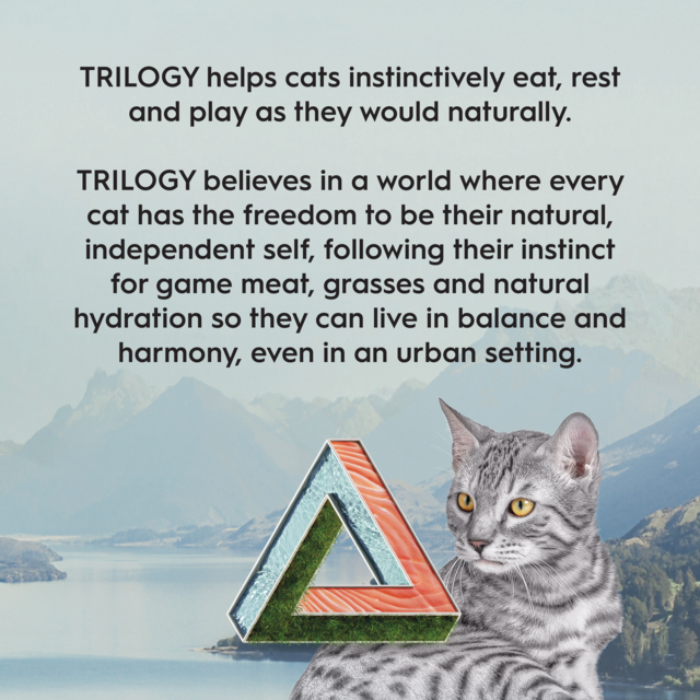 Trilogy Grain Free Salmon & Freeze Dried Lamb Adult Dry Cat Food - Product Image 9