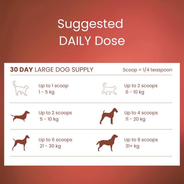 Tandem Cat & Dog Beef Bone Broth Powder Super Food - Product Image 2