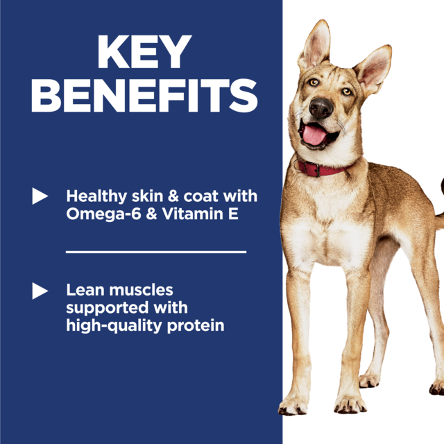 Hill's Science Diet Adult Dry Dog Food - Product Image 4