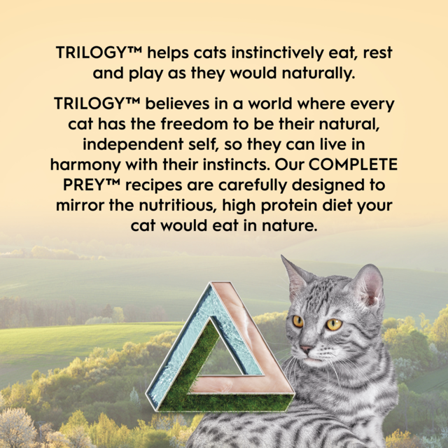 Trilogy Complete Prey Pate Chicken Wet Cat Food - Product Image 8