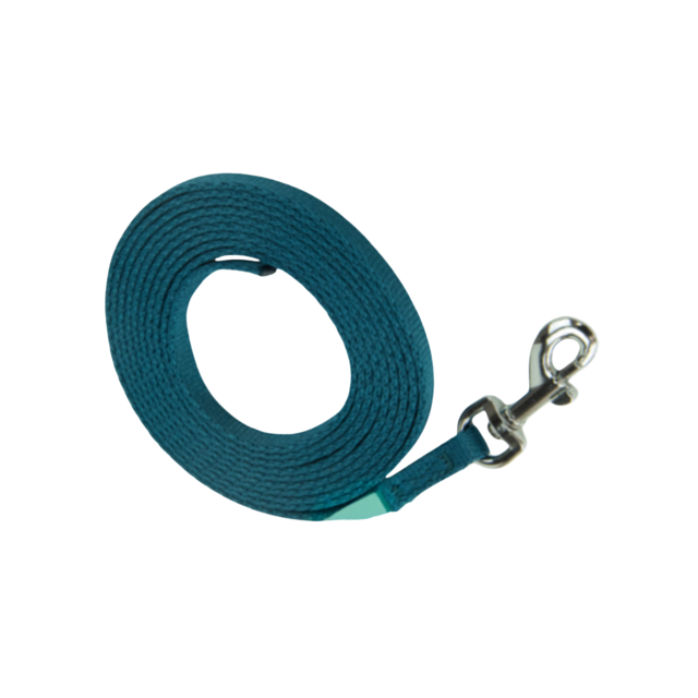 Coachi Puppy Training Line - Product Image 2