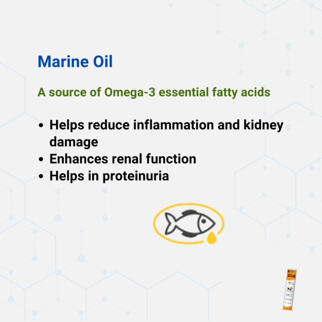 VetSynova VF+ Core KC Kidney Care Complex - Product Image 4