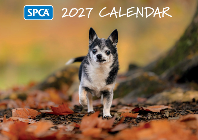 SPCA 2027 Charity Calendar - Product Image 3