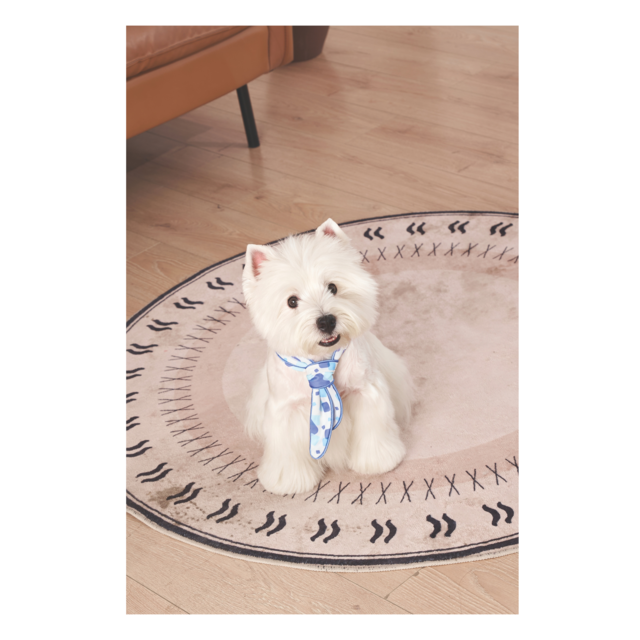 M-PETS Cooling Dog Scarf - Product Image 5