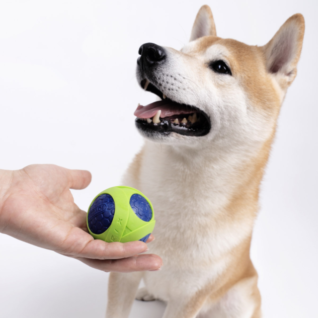 JOYSER Netrix TPR Rubber Ball Dog Toy - Product Image 3