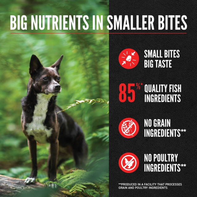 Orijen Small Breed Marine Fish Dry Dog Food - Product Image 2