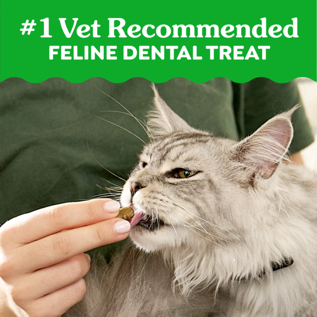 Greenies Oven Roasted Chicken Dental Cat Treats - Product Image 5