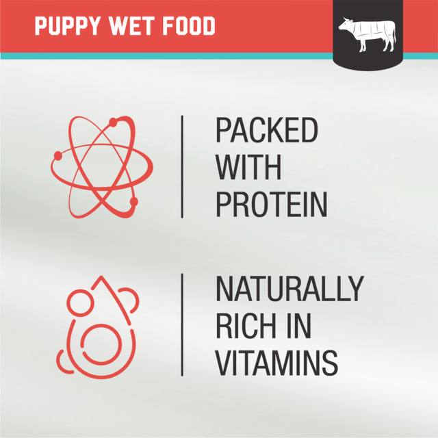 Kiwi Kitchens Beef & Mussel Puppy Wet Dog Food - Product Image 6