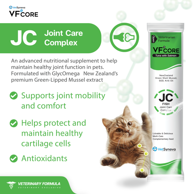 VetSynova VF+ Core JC Joint Care Complex Cat Supplement - Product Image 0