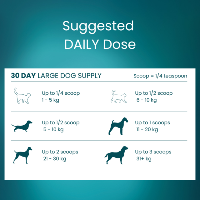 Tandem Cat & Dog Green Lipped Mussel Powder Super Food - Product Image 2