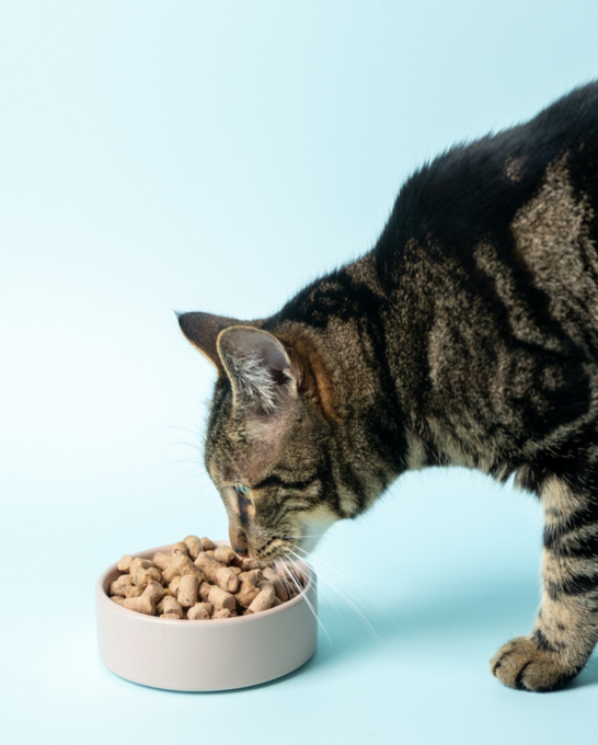 NRG+ Pure Gold Blend Lamb Freeze Dried Cat Food - Product Image 3