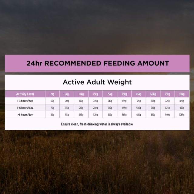 Pro Plan Performance All Life Stages Chicken Dry Dog Food - Product Image 8