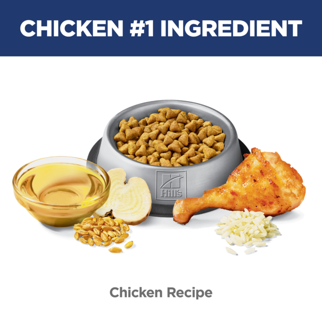 Hill's Science Diet Adult Hairball Control Chicken Dry Cat Food - Product Image 5