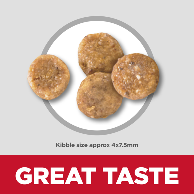 Hill's Science Diet Adult Sensitive Stomach & Skin Small & Mini Dry Dog Food - Product Image 4