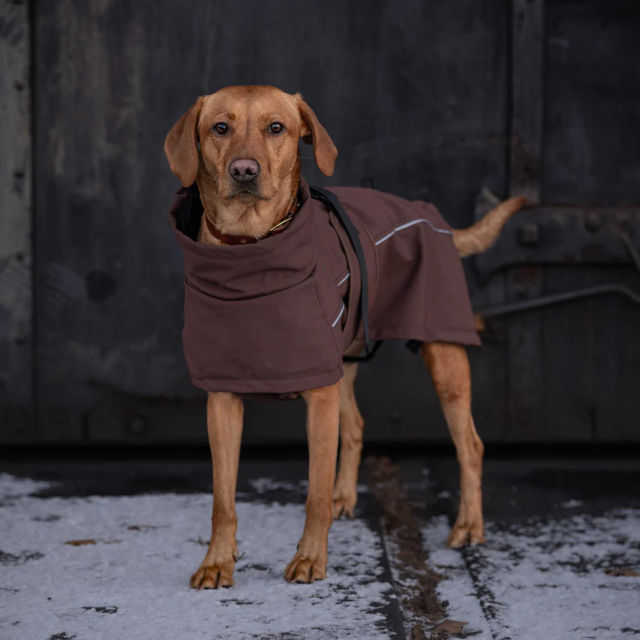 Pointer & Hound Waterproof Dog Jacket  - Product Image 1