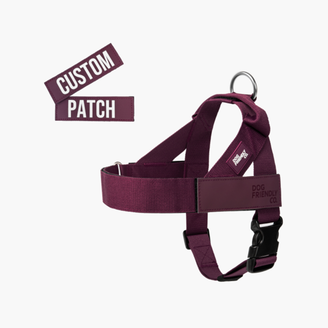 Dog Friendly Co. Premium Custom Dog Harness Combo - Product Image 2