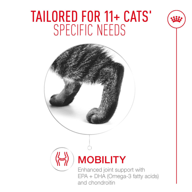 Royal Canin Ageing 11+ Dry Cat Food - Product Image 2