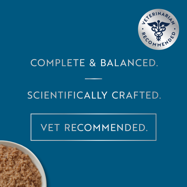 ZIWI Peak Salmon & South Pacific Fish Wet Cat Food - Product Image 6