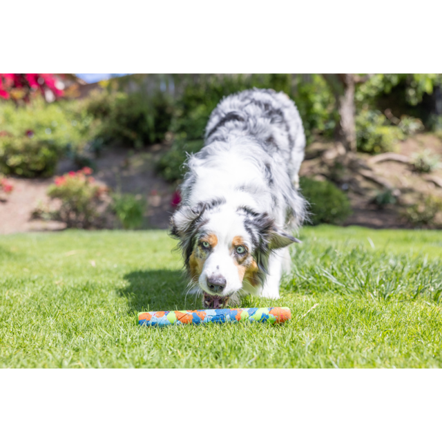 Chuckit! Eco Fetch Stick - Product Image 1