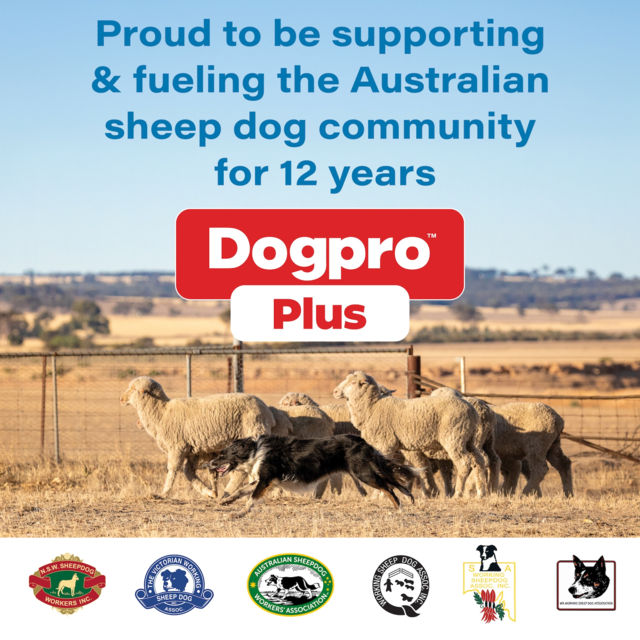 Dogpro Plus Adult Working Dog Aussie Beef Dry Dog Food - Product Image 7