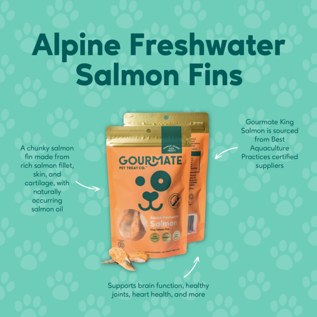 Gourmate Pet Treat Co. Alpine Freshwater Salmon Fins Dog Treats - Product Image 2