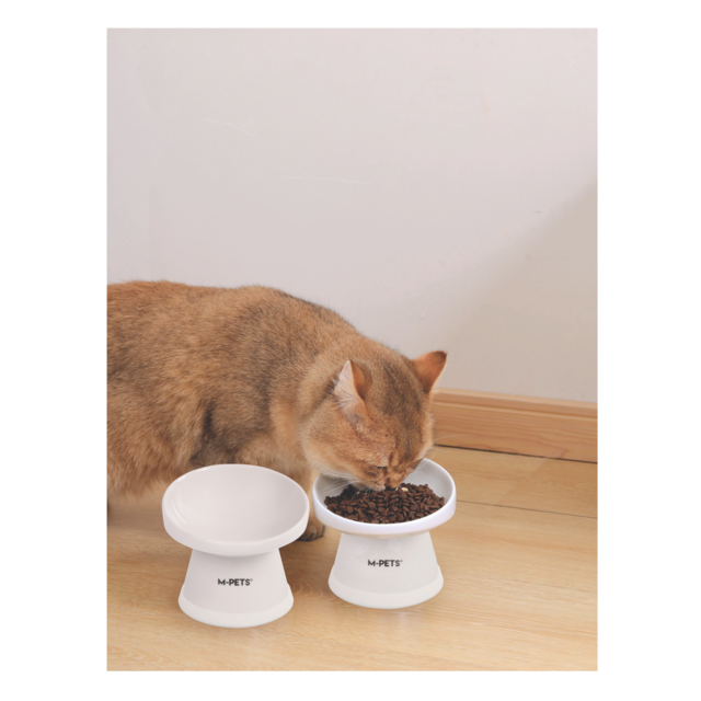M-PETS Tilt'd Raised Ceramic Cat and Dog Bowl - Product Image 4