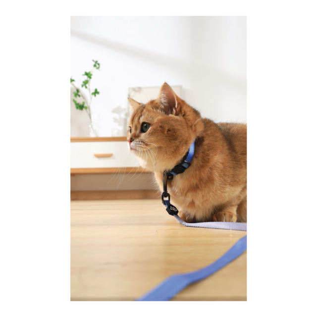M-PETS Gentle Cat Collar - Product Image 5