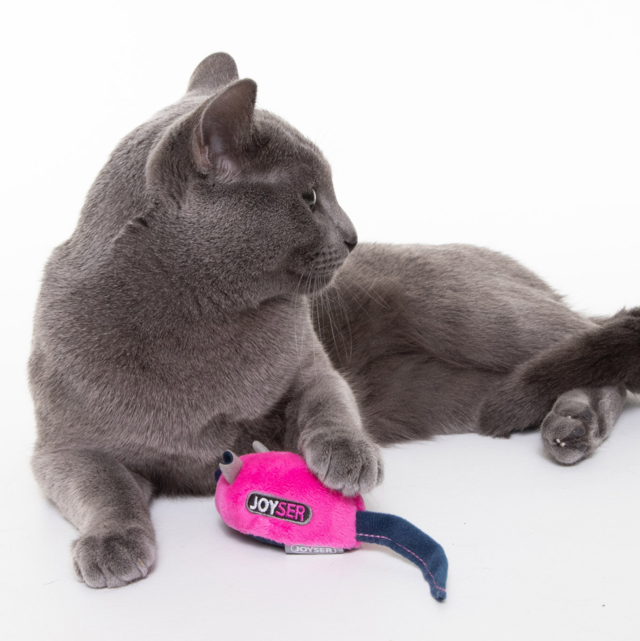JOYSER Interactive Mouse  Cat Toy - Product Image 4