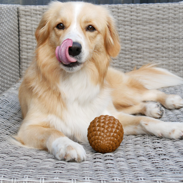 Pointer & Hound Pinecone Dog Toy - Product Image 7