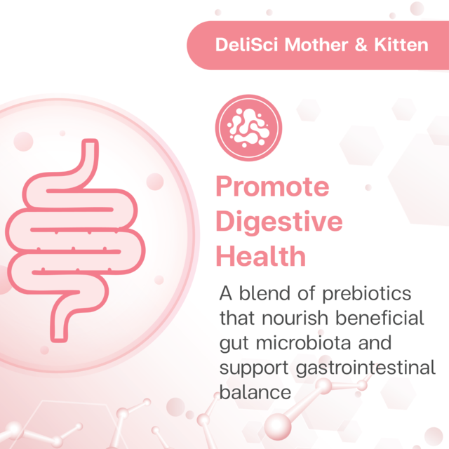 VetSynova DeliSci Mother & Kitten Mousse Wet Cat Food  - Product Image 5