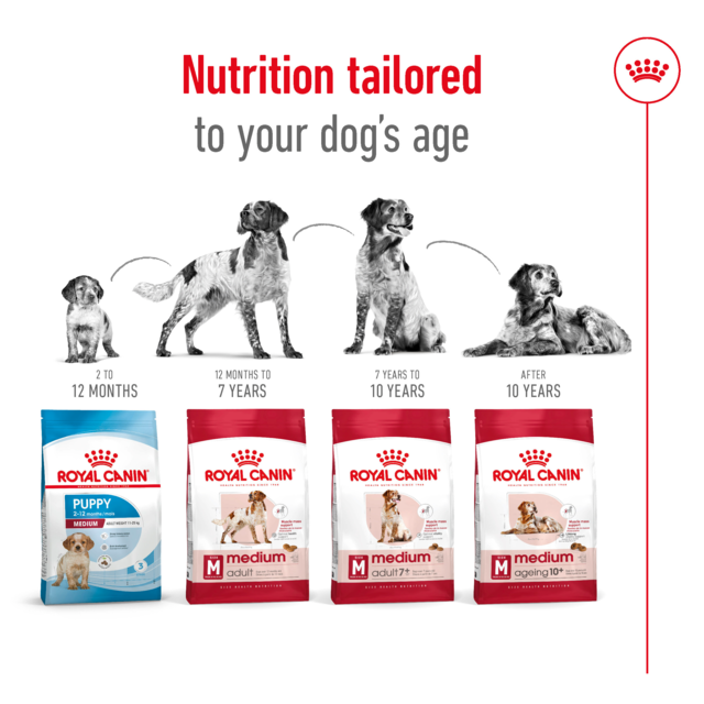 Royal Canin Medium Adult 7+ Dry Dog Food - Product Image 5