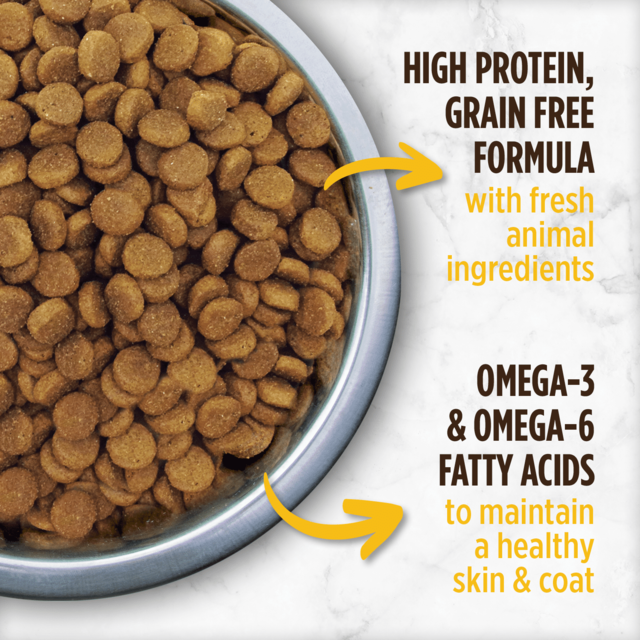 Nutrience Grain Free Turkey Chicken & Herring Small Breed Dry Dog Food - Product Image 1