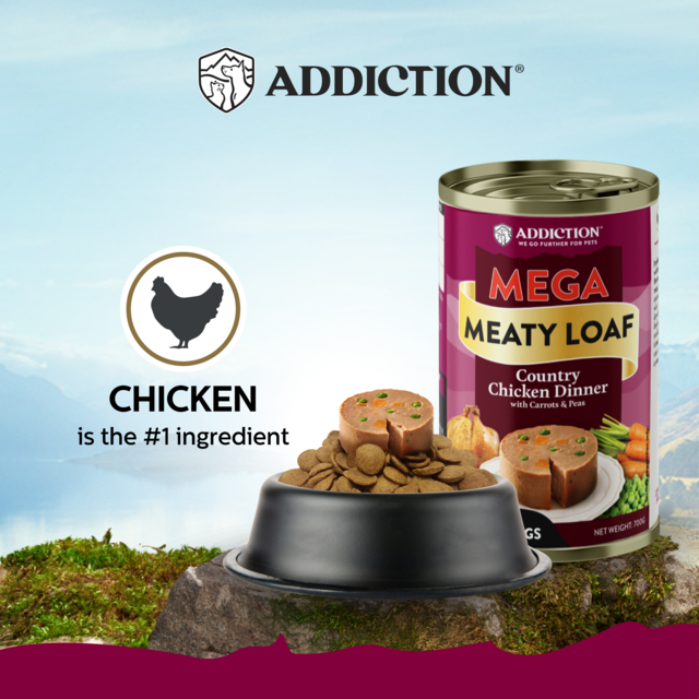 Addiction MEGA Country Chicken Dinner Loaf Wet Dog Food - Product Image 1