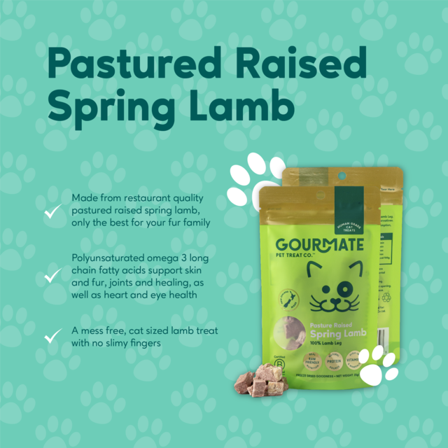 Gourmate Pet Treat Co. Pasture Raised Spring Lamb Cat Treats - Product Image 3
