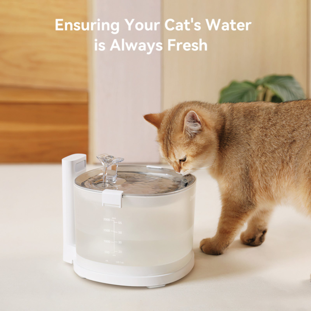 Cheerble Cat and Dog Water Fountain Replacement Filters - For E1/E1+/ D1 Wired/ D1 Pro Wireless - Product Image 7