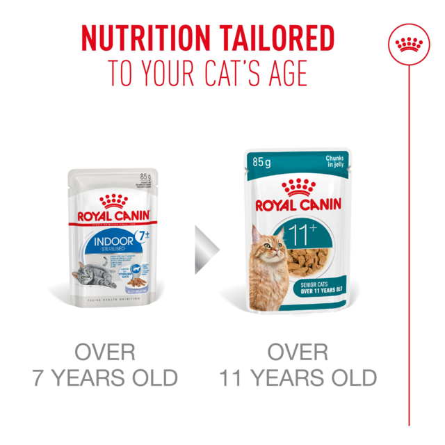 Royal Canin Ageing 11+ in Jelly Wet Cat Food - Product Image 6