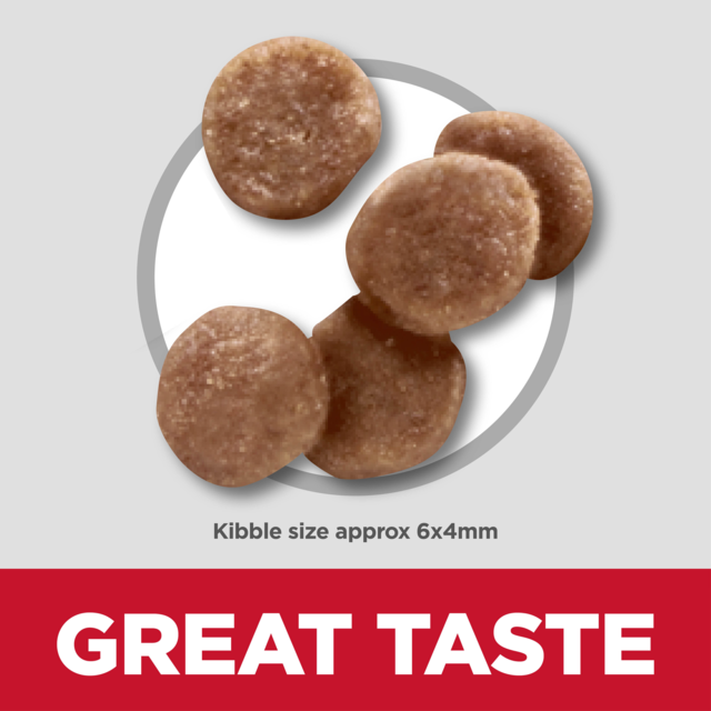 Hill's Science Diet Kitten Dry Cat Food - Product Image 5