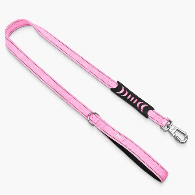 Dog Friendly Co.Classic Dog Leash - Product Image 2