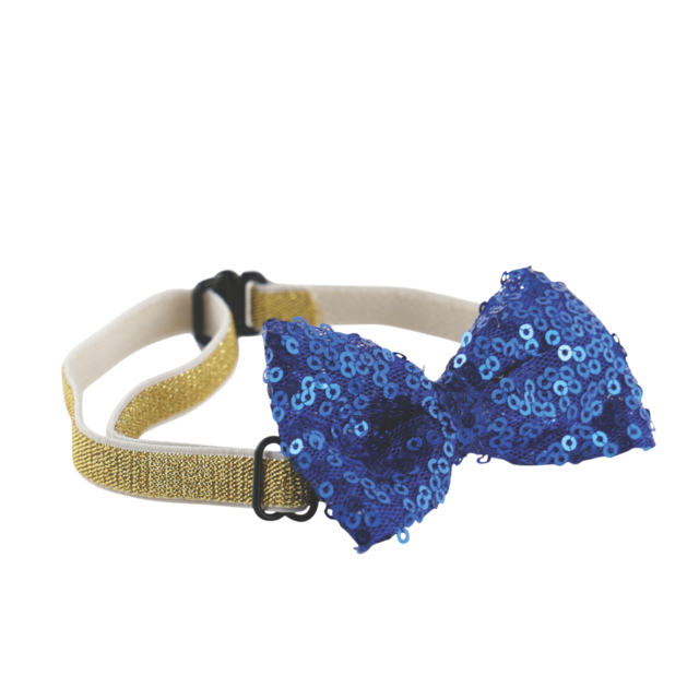 M-PETS Party Time Gentleman Birthday Party Pack For Cats - Product Image 6