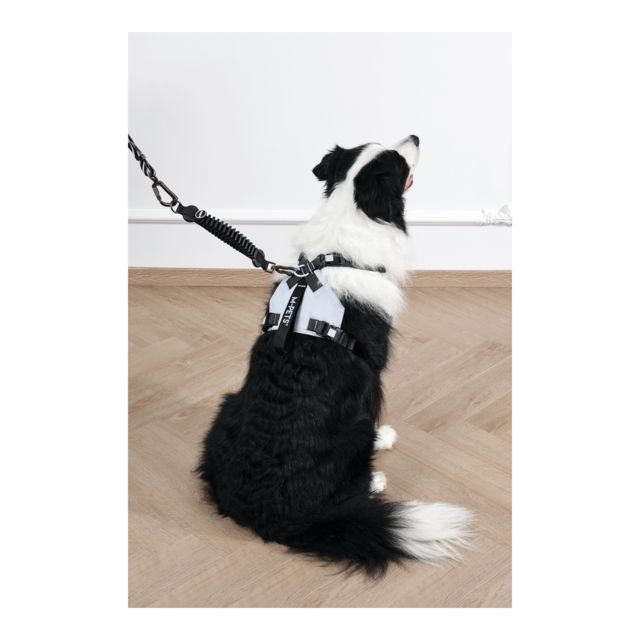 M-PETS Dog Lead Shock Absorber Extension - Product Image 4