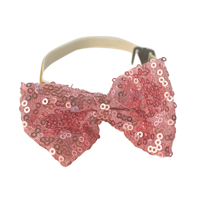 M-PETS Party Time Lady Birthday Party Pack For Cats - Product Image 6