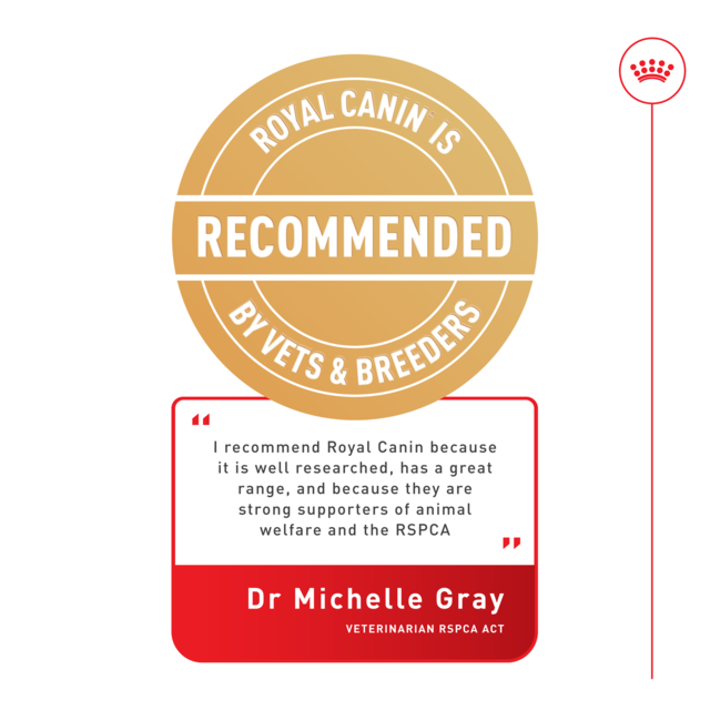 Royal Canin Fit Dry Cat Food - Product Image 7