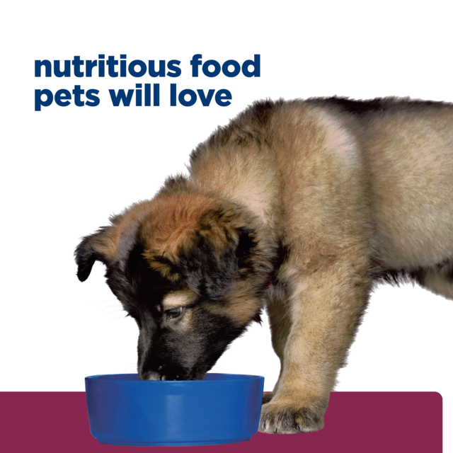 Hill's Prescription Diet i/d Digestive Care Puppy Dry Dog Food - Product Image 9