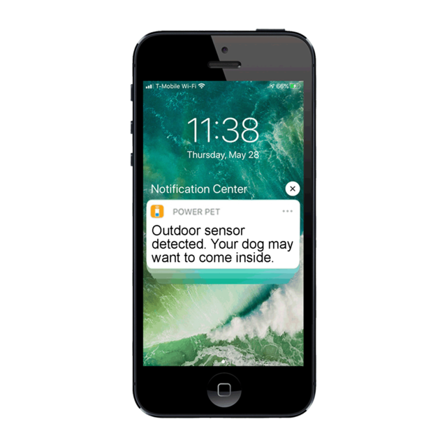 PX1 WF Wifi Automated Pet Door - Product Image 1