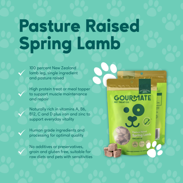 Gourmate Pet Treat Co. Pasture Raised Spring Lamb Dog Treats - Product Image 4